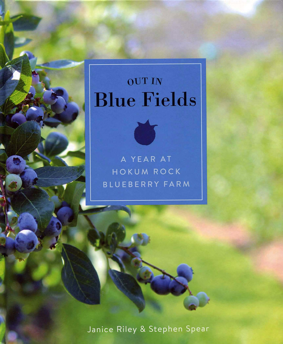 REGIONAL NON-FICTION: NORTHEAST