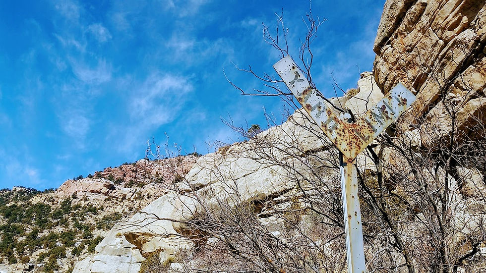 Storrs Spring Canyon