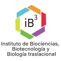 logo iB3.jpeg