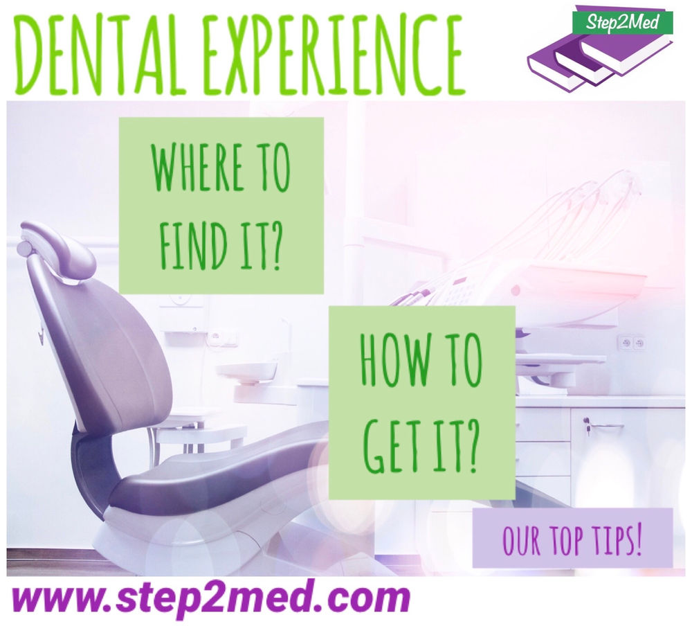 Dental Work Experience Everything You Need to Know!