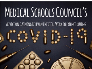 Work Experience - An Update!