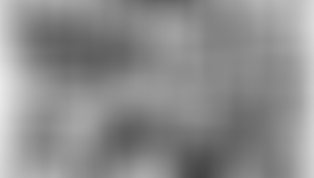 April 16th- Cereal Box Judging/Presentations