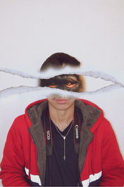 MonkeyFace.jpg