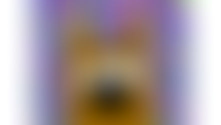 June 3rd- Playing Card Creation