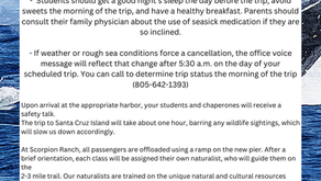 January 17th- Logo Design for Crooked Taco