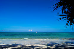 Indian Ocean, Michamvi, Zanzibar, Tanzania,