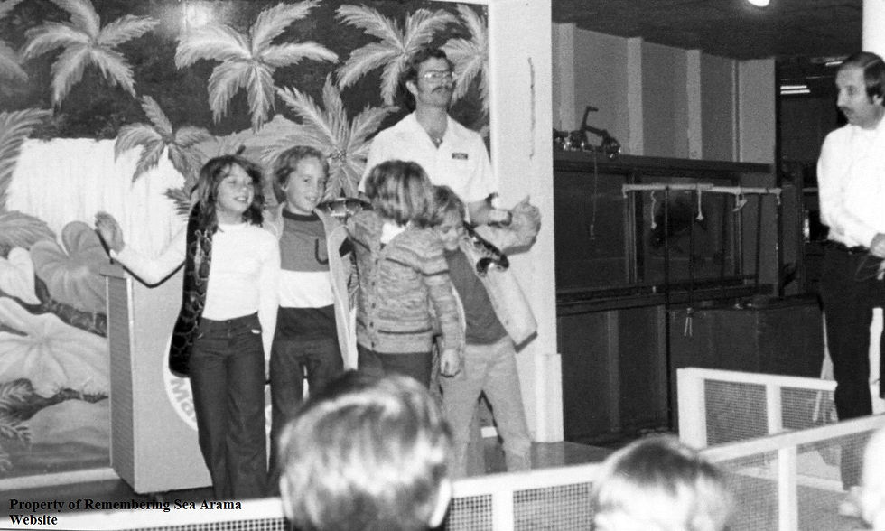 1977 Hal Newsom, Steve O'Donohoe.jpg