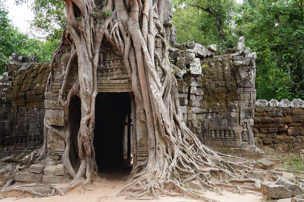 Welcome to Tomb Raider Tours