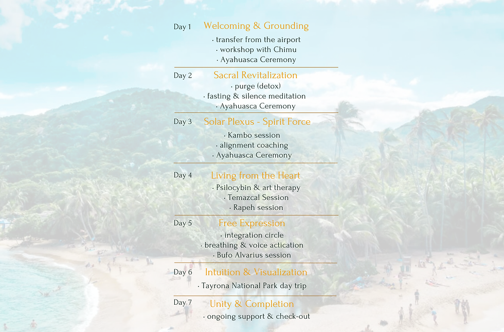 SCHEDULE abundance.png