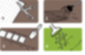 seed developments, growing guides, seed mats and carpets