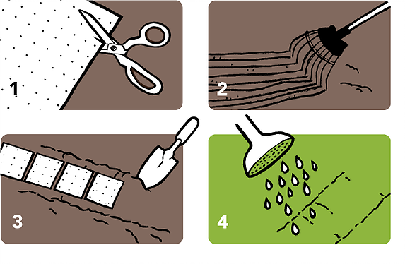 seed developments, growing guides, seed mats and carpets