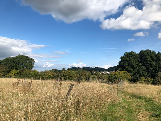 Damask Way to Arne Hill.jpg