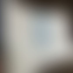 Unlocking Innovation in Dual Language Education