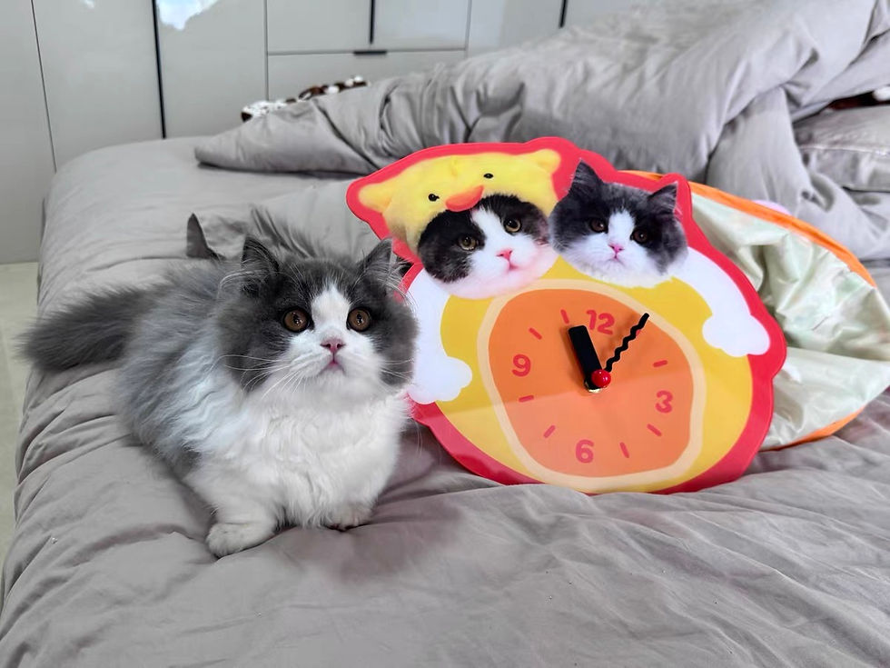 Thumbnail: Custom Dog Print Clock |PetsMatter