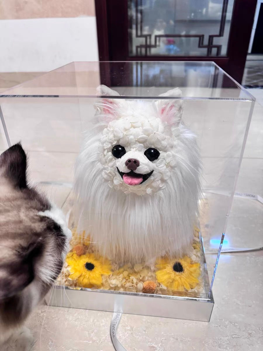 Thumbnail: 100% Handmade 3D Everlasting Flower Pet Portraits Full Body | PetsMatter