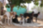 20810707-05AD-487B-A916-07B6CB779D7F.jpeg