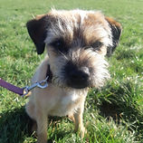 20230128_130039 (1).jpg