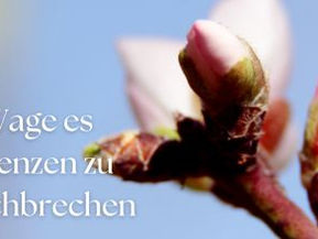 Grenzen sprengen und aufblühen
