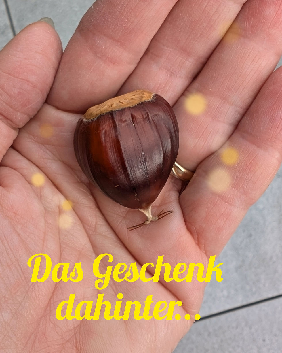 Edelkastanie auf Hand