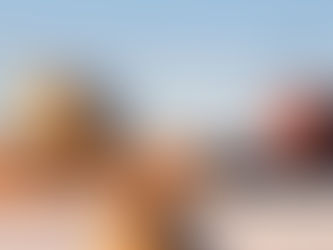 Steine werden in Balance gehalten als Sinnbild für Kontrolle