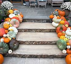 Photo Sep 28 2025, 6 55 29 PM.jpg