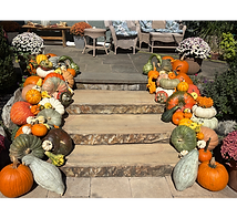 Photo Oct 01 2025, 1 08 44 PM (1)_edited.png