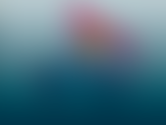 Por que investir em um bom logotipo?