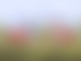 5 Reasons Why You Should Exercise!