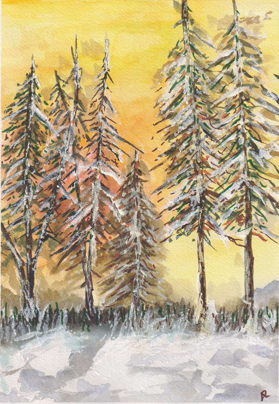 Sunny Winter