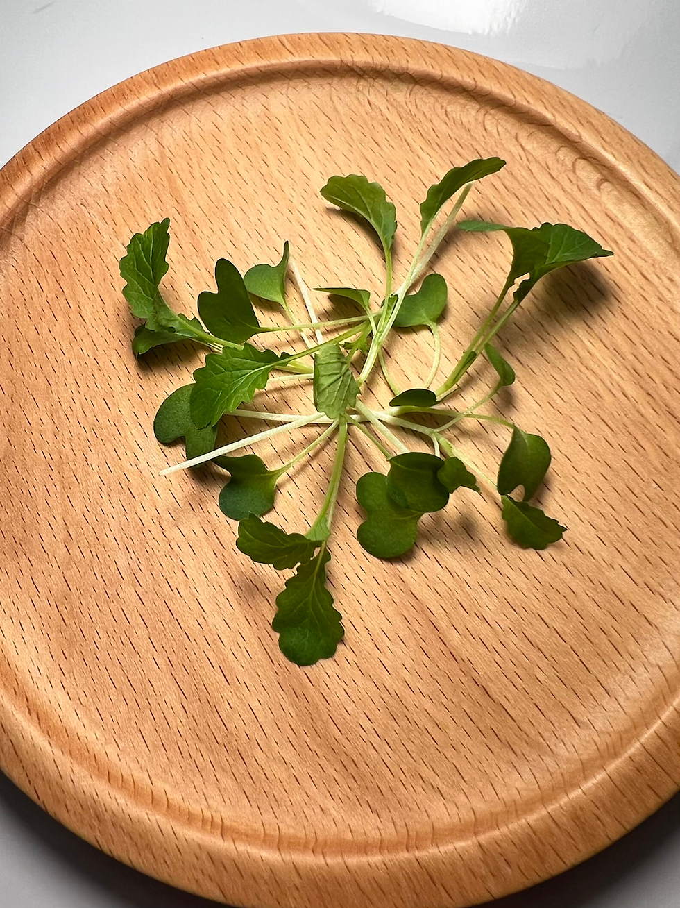 Thumbnail: LIME STREAK MUSTARD