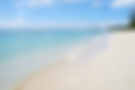 DSCN8396 Cay.png