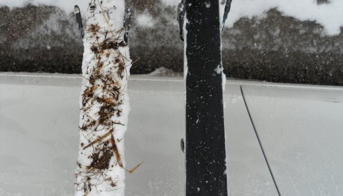 Thumbnail: "Perma JUICE"