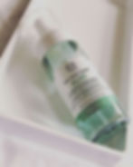 Brume visage The Body Shop Aloe