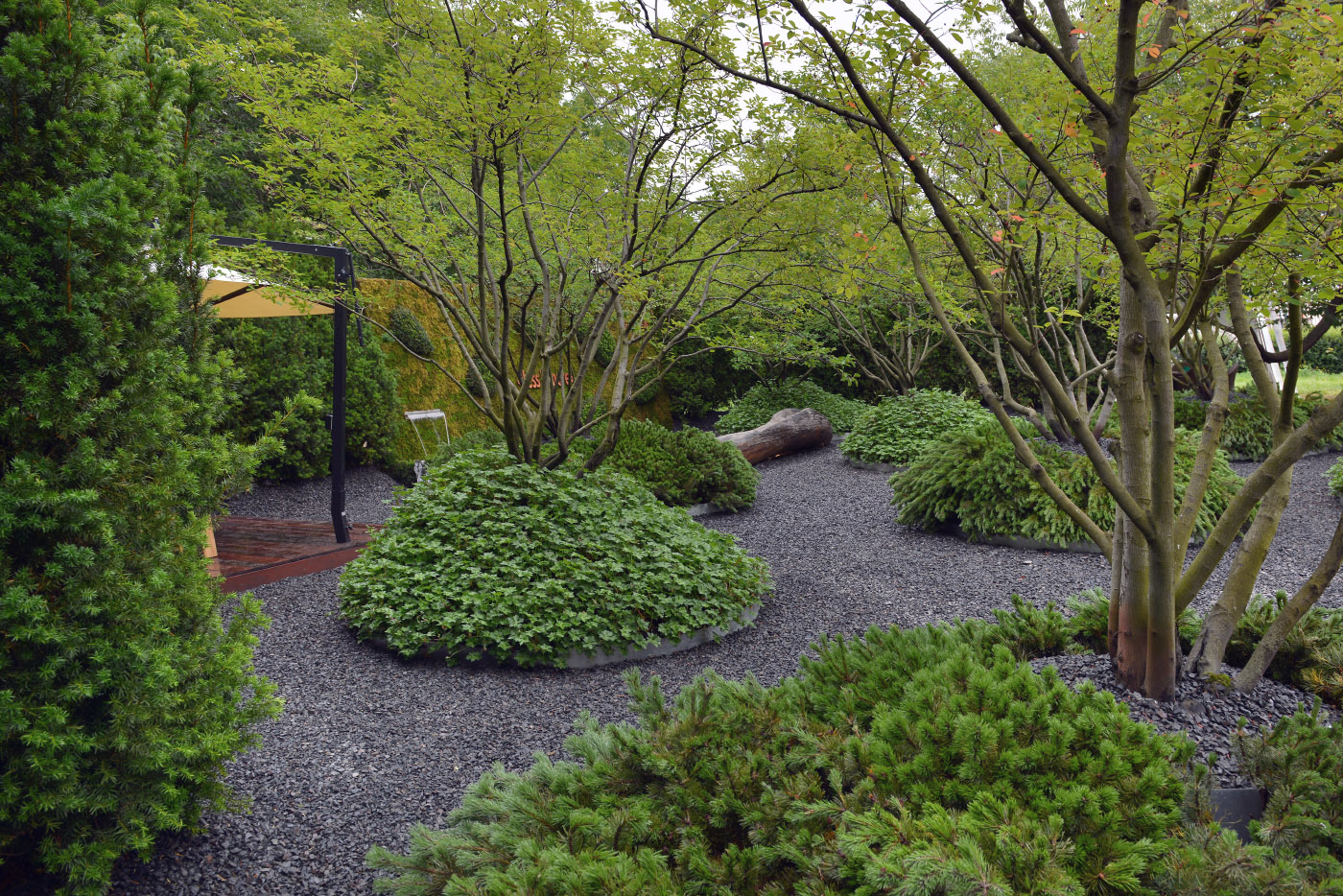 Лапчатка кустарниковая в рокарии. Мульчирование туи смарагд. Цветочные сады бутчартов, канада. Хвойный миксбордер. Хелен парк ландшафт.