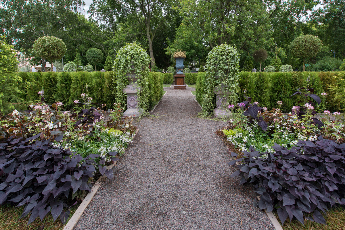 ботанический сад москва мгу ломоносов. ботанический сад мгу москва. ботанический сад университета «аптекарский город». тайнинский сад московского кремля.