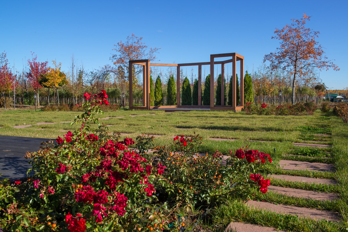 питомник пущино. питомник пущино. питомник растений в подгоренском районе. пдк южный питомник. питомник растений боровский район.