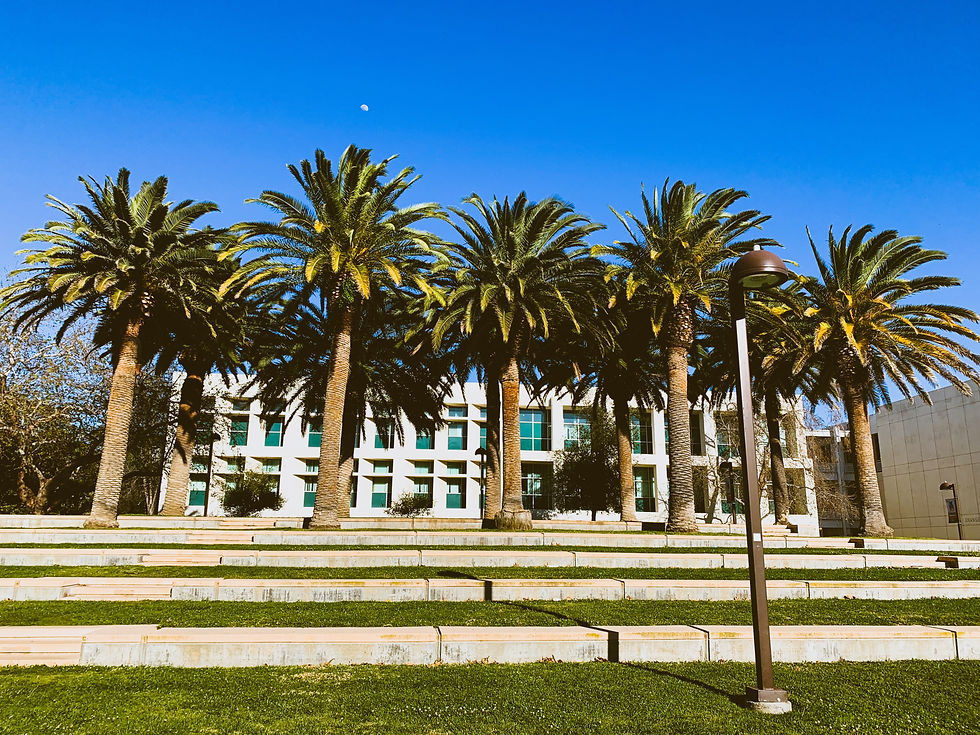 California State University, Northridge