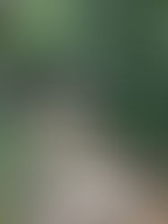 The hardest part of change is not making the same choice you did the day before