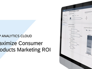 Maximizing ROI with SAP Analytics Cloud