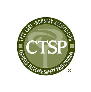 CTSPlogo1.jpeg