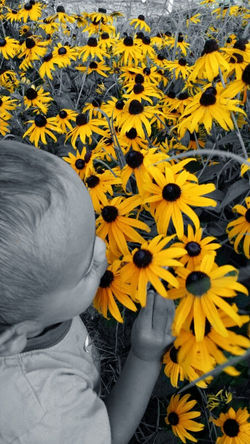 PhotoArt_08022014084748
