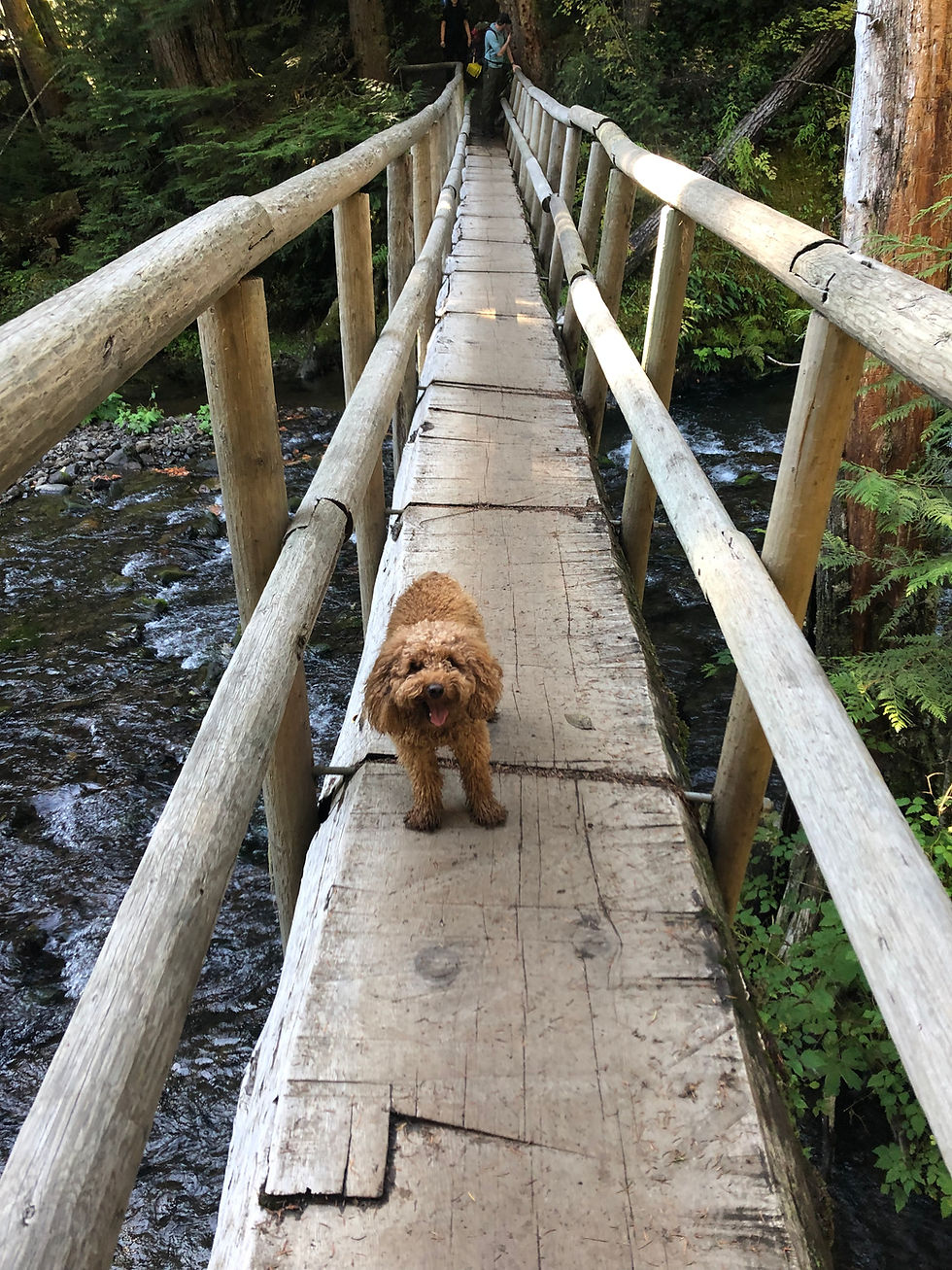 Finding Home on the Road