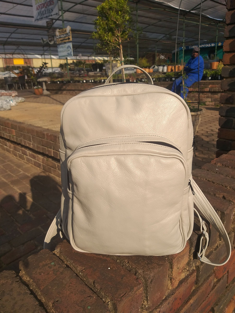 Thumbnail: Leather Back Pack