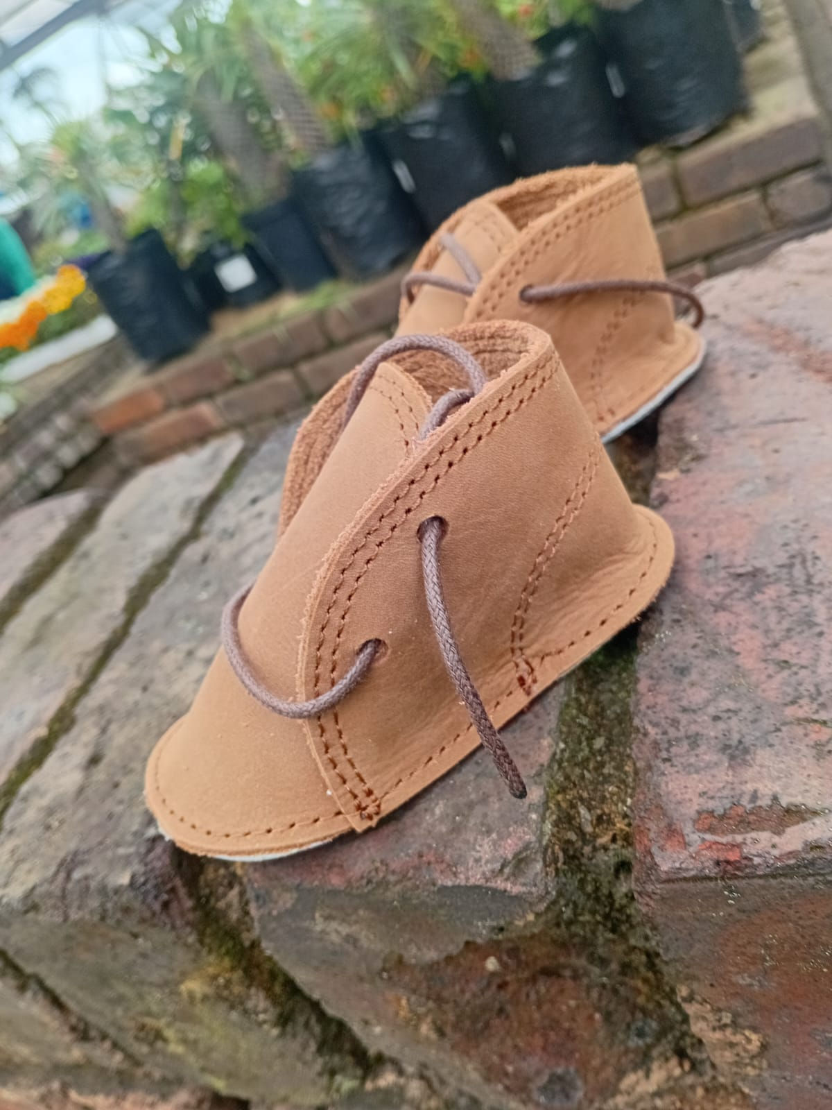 Baby Shoes