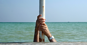 Are you one of the 42% of Business Survivors?