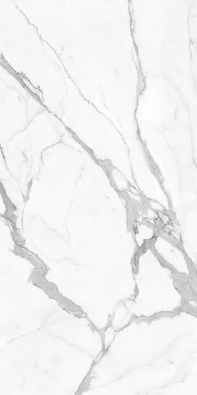 Calacatta butterfly Silk