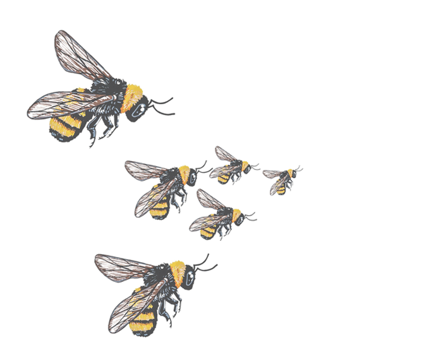 Flower Chasing Route3.png