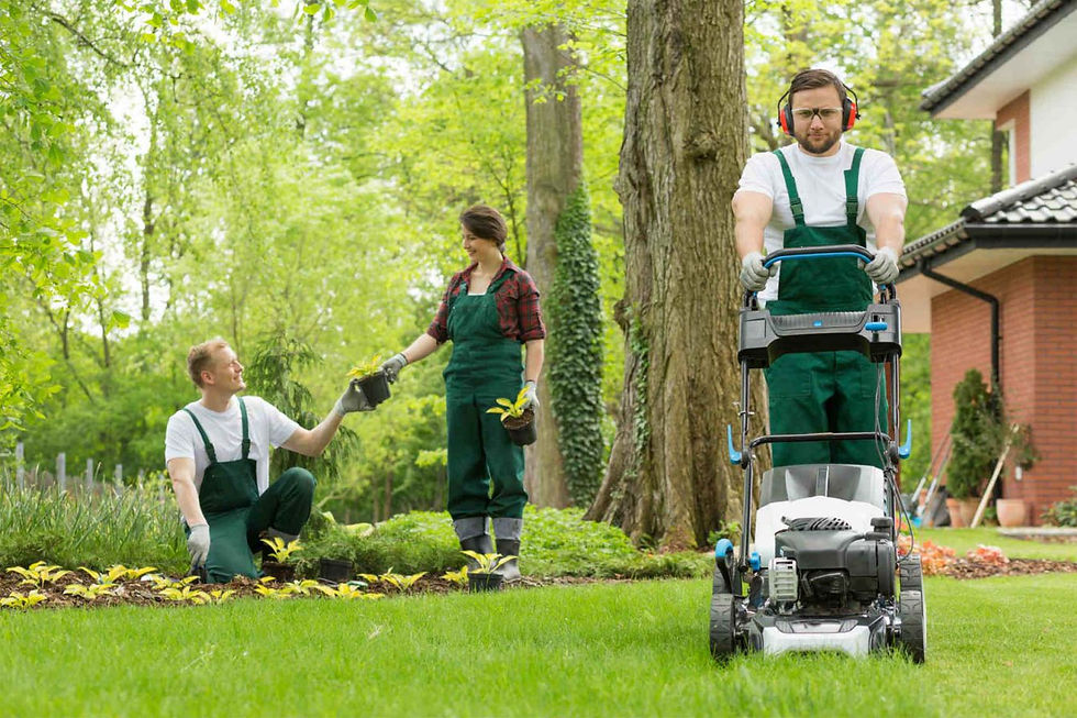 Meridian Township Landscaping