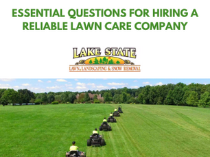 Essential Questions for Hiring a Reliable Lawn Care Company