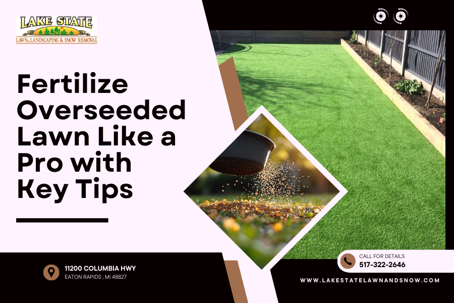Photo inspiration: Visual Reference: Fertilize Overseeded Lawn Lake State Landscaping Snow Removal